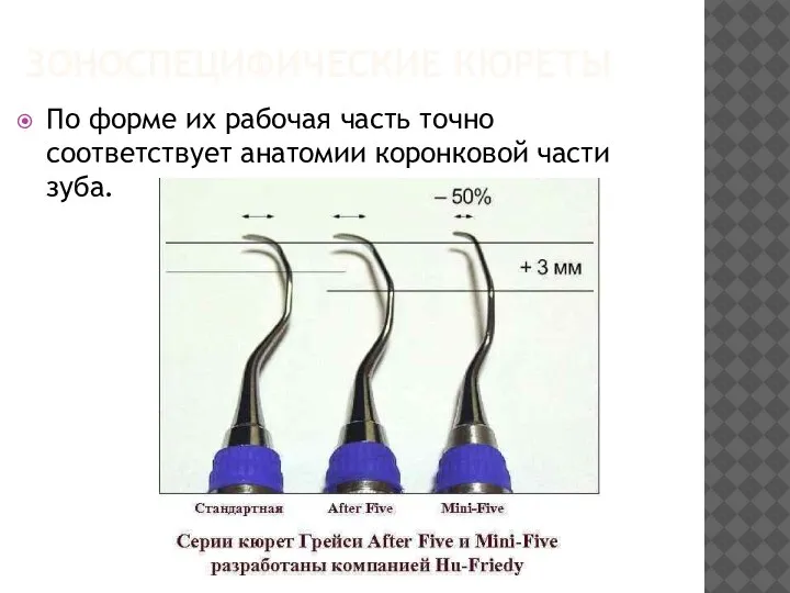 ЗОНОСПЕЦИФИЧЕСКИЕ КЮРЕТЫ По форме их рабочая часть точно соответствует анатомии коронковой части зуба.