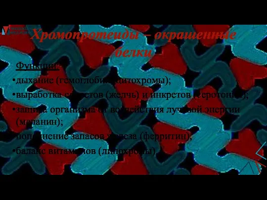 Хромопротеиды – окрашенные белки Функции: дыхание (гемоглобин, цитохромы); выработка секретов (желчь) и