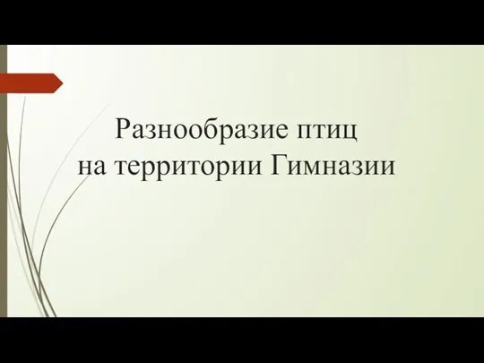 Разнообразие птиц на территории Гимназии