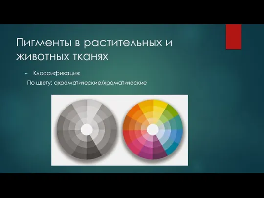 Пигменты в растительных и животных тканях Классификация: По цвету: ахроматические/хроматические