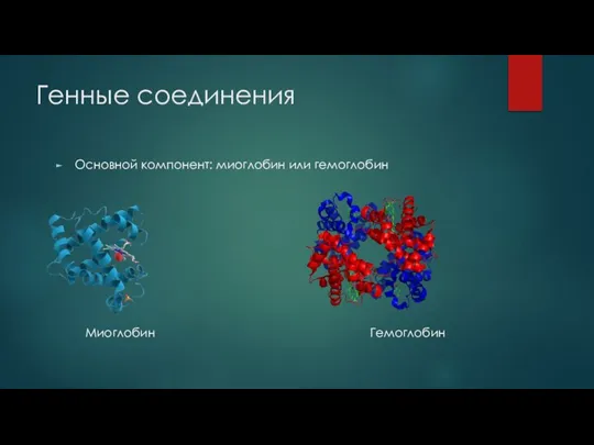 Генные соединения Основной компонент: миоглобин или гемоглобин Миоглобин Гемоглобин