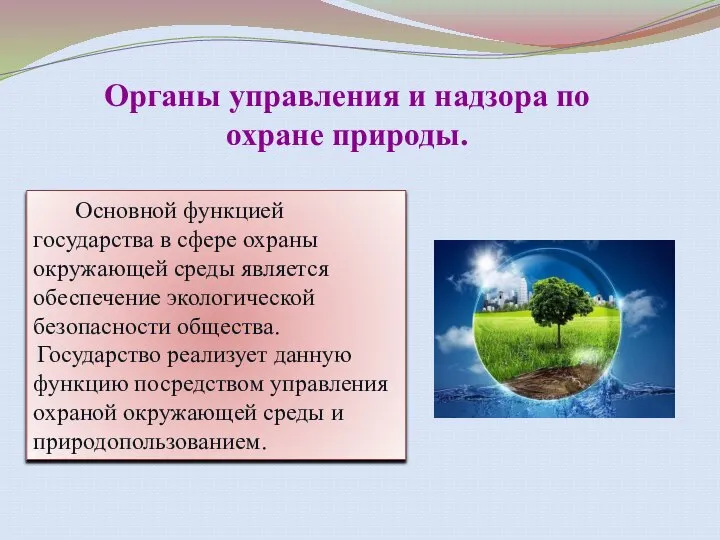 Органы управления и надзора по охране природы. Основной функцией государства в сфере