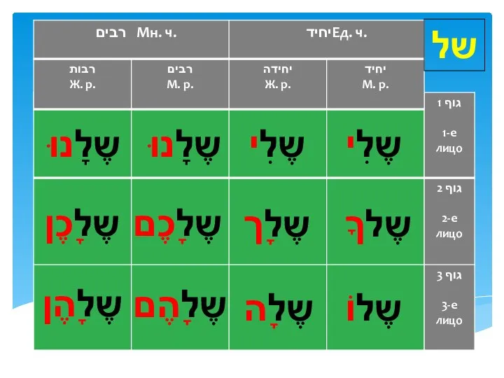 של שֶלִי שֶלִי שֶלָנוּ שֶלָנוּ שֶלךָ שֶלָך שֶלָכֶם שֶלָכֶן שֶלוֹ שֶלָה שֶלָהֶם שֶלָהֶן