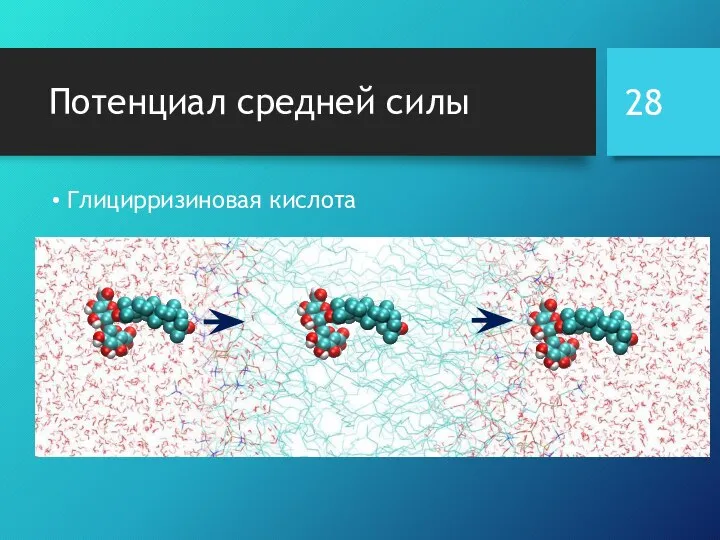 Потенциал средней силы Глицирризиновая кислота