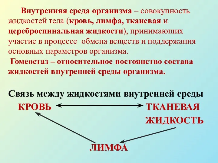 Внутренняя среда организма – совокупность жидкостей тела (кровь, лимфа, тканевая и цереброспинальная