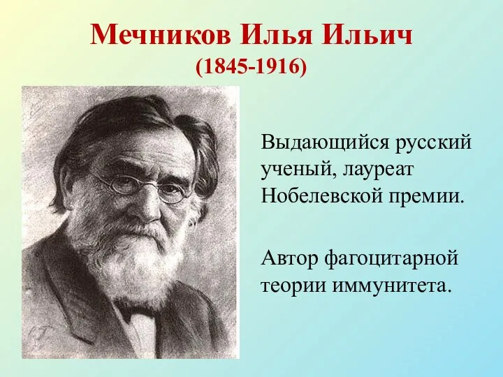 Мечников Илья Ильич (1845-1916) Выдающийся русский ученый, лауреат Нобелевской премии. Автор фагоцитарной теории иммунитета.