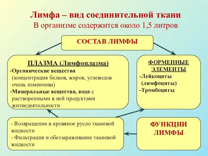 Лимфа – вид соединительной ткани В организме содержится около 1,5 литров СОСТАВ