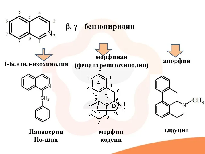 β, γ - бензопиридин 1-бензил-изохинолин морфинан (фенантренизохинолин) апорфин Папаверин Но-шпа морфин кодеин глауцин