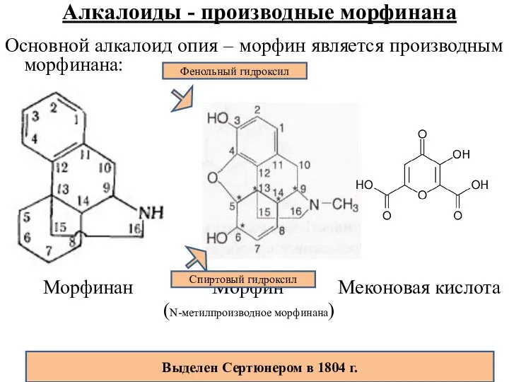Алкалоиды - производные морфинана Основной алкалоид опия – морфин является производным морфинана: