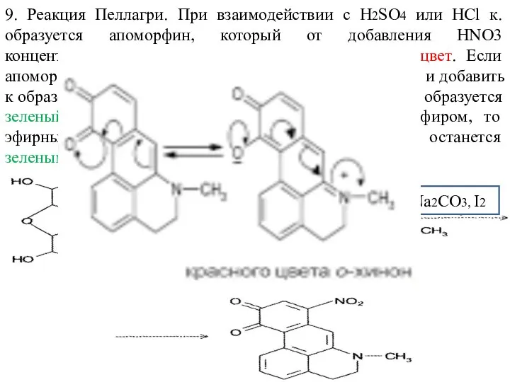 9. Реакция Пеллагри. При взаимодействии с H2SO4 или HCl к. образуется апоморфин,
