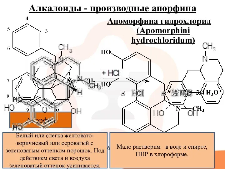 Алкалоиды - производные апорфина Апоморфина гидрохлорид (Apomorphini hydrochloridum) Апорфин 6aR)-6-Метил-5,6,6a,7-тетрагидро-4H-дибензо[de,g]хинолин-10,11-диол гидрохлорида гемигидрат.