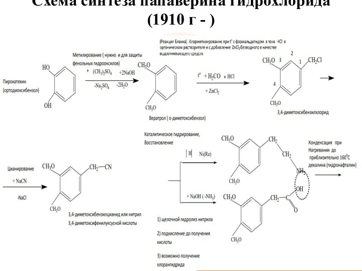 Схема синтеза папаверина гидрохлорида (1910 г - )