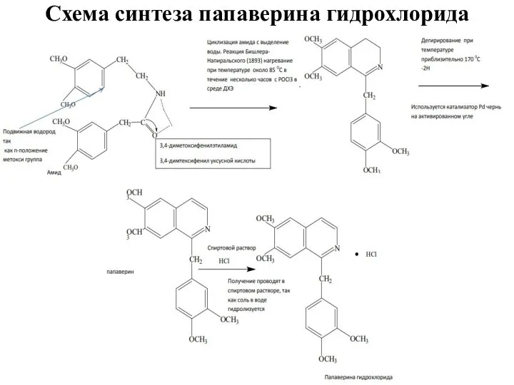 Схема синтеза папаверина гидрохлорида
