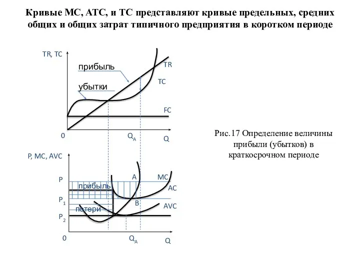 Кривые MC, ATC, и TC представляют кривые предельных, средних общих и общих