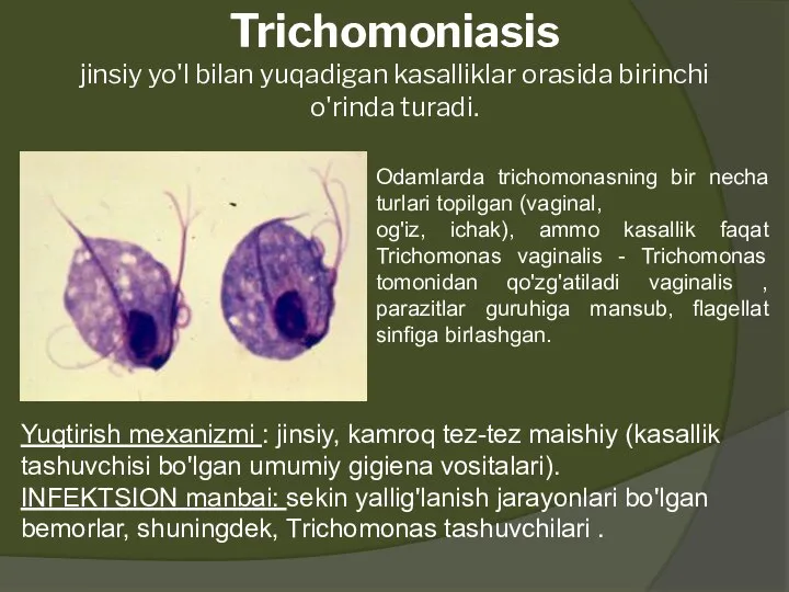 Trichomoniasis jinsiy yo'l bilan yuqadigan kasalliklar orasida birinchi o'rinda turadi. Odamlarda trichomonasning