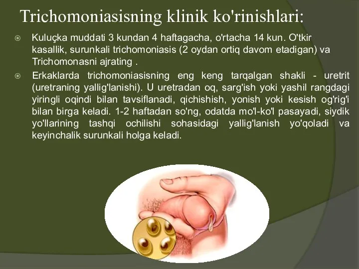 Trichomoniasisning klinik ko'rinishlari: Kuluçka muddati 3 kundan 4 haftagacha, o'rtacha 14 kun.