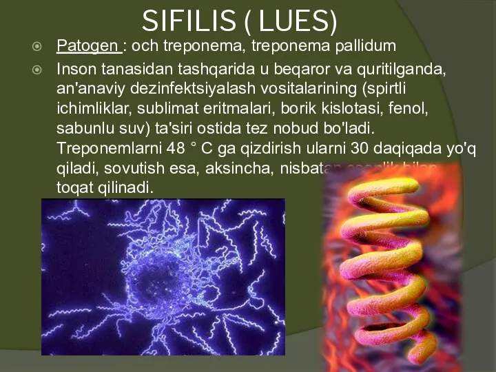 SIFILIS ( LUES) Patogen : och treponema, treponema pallidum Inson tanasidan tashqarida