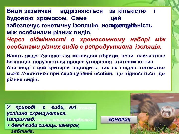 У природі є види, які успішно схрещуються. Наприклад: деякі види синиць, канарок,