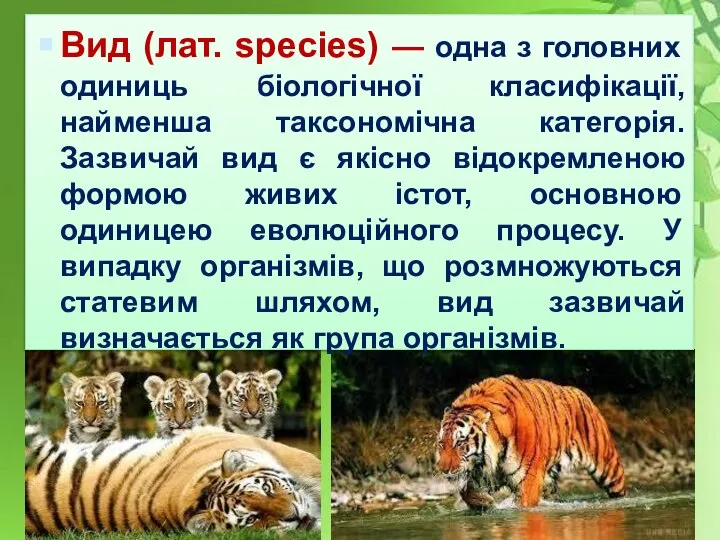 Вид (лат. species) — одна з головних одиниць біологічної класифікації, найменша таксономічна