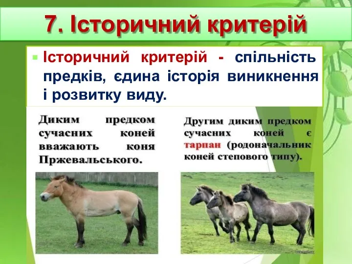 Історичний критерій - спільність предків, єдина історія виникнення і розвитку виду. 7. Історичний критерій