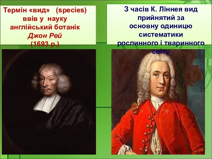 Термін «вид» (species) ввів у науку англійський ботанік Джон Рей (1693 р.)