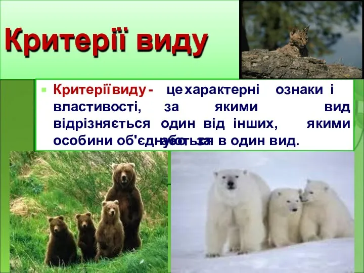 Критерії виду Критерії виду - це характерні ознаки і властивості, відрізняється за