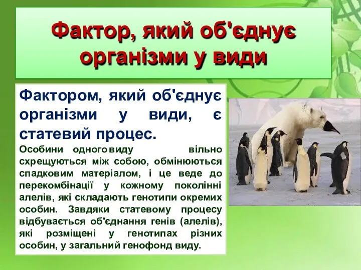 Фактором, який об'єднує організми у види, є статевий процес. Особини одного виду