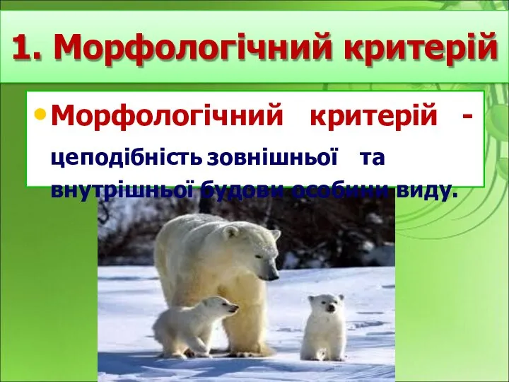 1. Морфологічний критерій Морфологічний критерій - це подібність зовнішньої та внутрішньої будови особини виду.