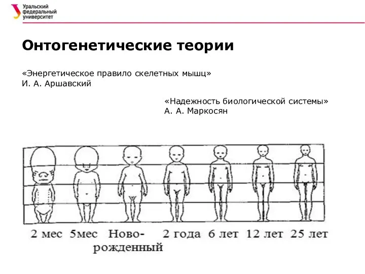 «Энергетическое правило скелетных мышц» И. А. Аршавский Онтогенетические теории «Надежность биологической системы» А. А. Маркосян