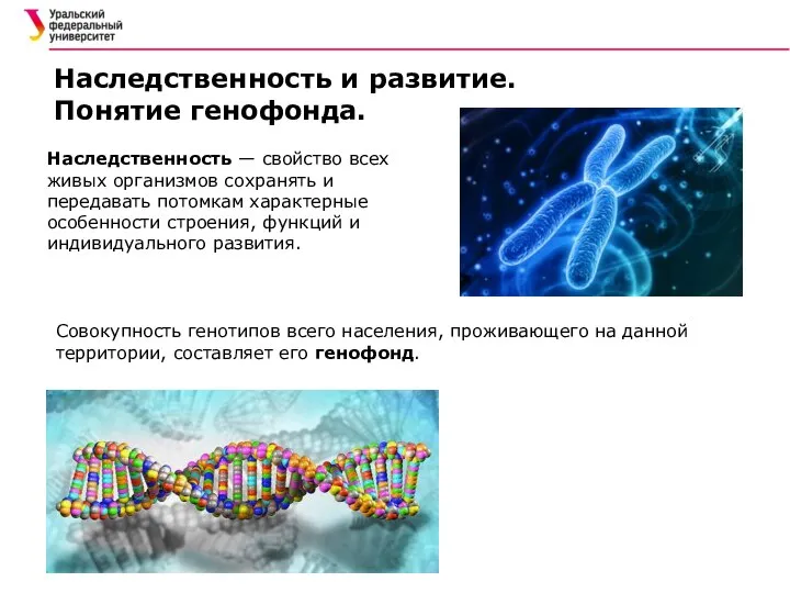 Наследственность — свойство всех живых организмов сохранять и передавать потомкам характерные особенности