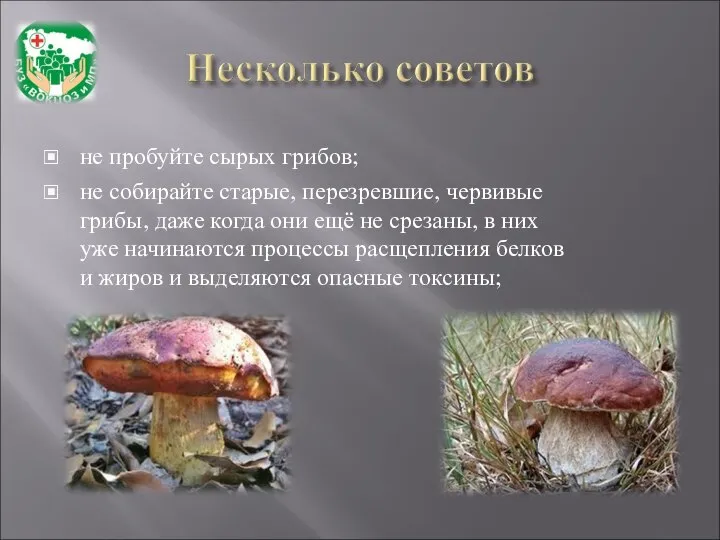 не пробуйте сырых грибов; не собирайте старые, перезревшие, червивые грибы, даже когда