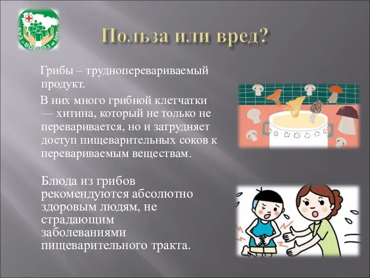 Грибы – трудноперевариваемый продукт. В них много грибной клетчатки — хитина, который