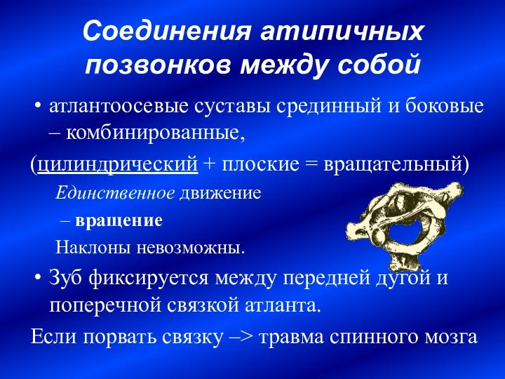 Соединения атипичных позвонков между собой атлантоосевые суставы срединный и боковые – комбинированные,