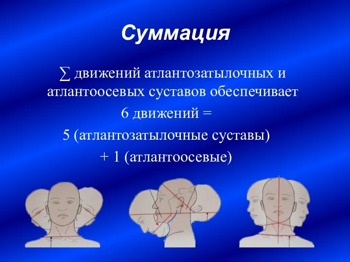 Суммация ∑ движений атлантозатылочных и атлантоосевых суставов обеспечивает 6 движений = 5