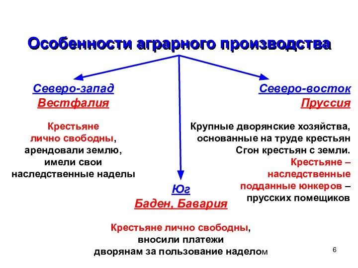 Особенности аграрного производства Северо-запад Вестфалия Крестьяне лично свободны, арендовали землю, имели свои