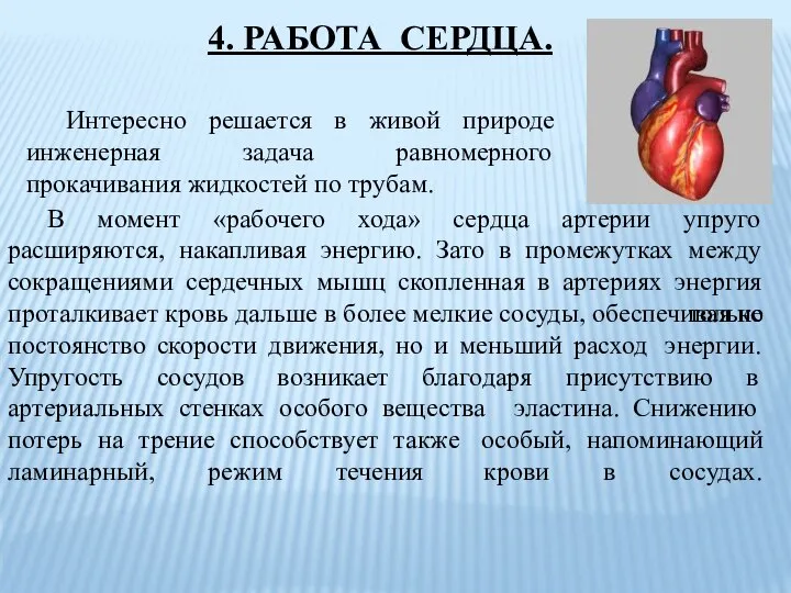 Интересно решается в живой природе инженерная задача равномерного прокачивания жидкостей по трубам.