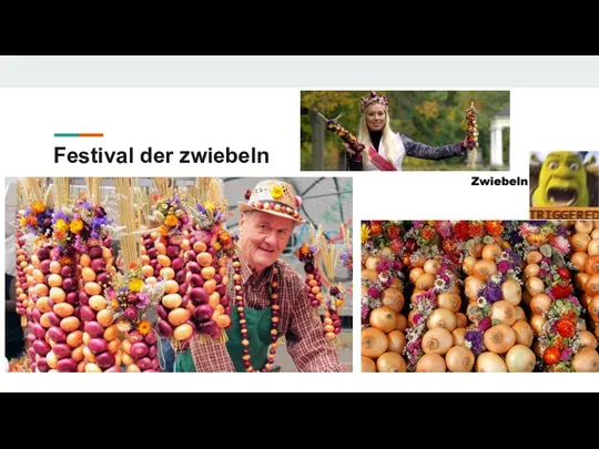 Festival der zwiebeln