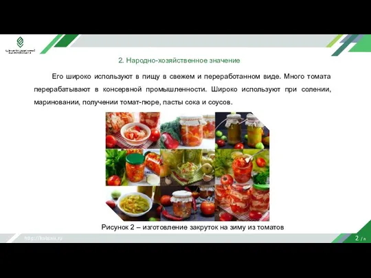 http://kubsau.ru 2 / n 2. Народно-хозяйственное значение Его широко используют в пищу