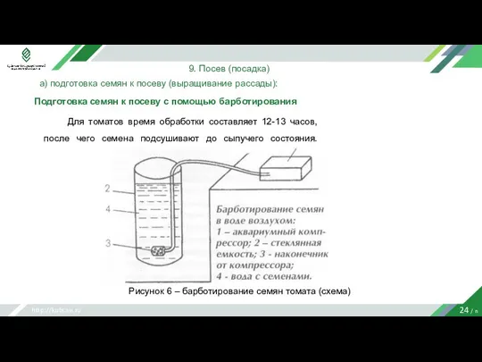 http://kubsau.ru 24 / n 9. Посев (посадка) а) подготовка семян к посеву