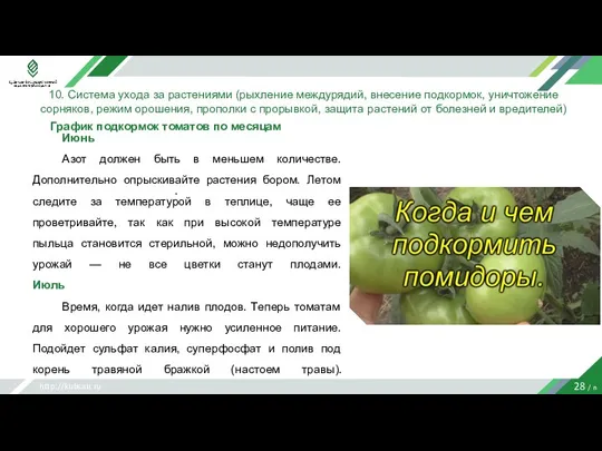 http://kubsau.ru 28 / n 10. Система ухода за растениями (рыхление междурядий, внесение