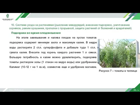 http://kubsau.ru 31 / n 10. Система ухода за растениями (рыхление междурядий, внесение