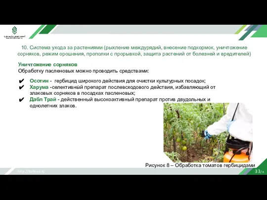 http://kubsau.ru 33/ n 10. Система ухода за растениями (рыхление междурядий, внесение подкормок,