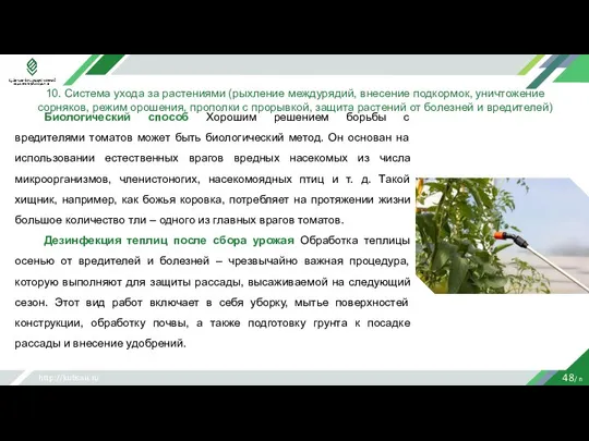 http://kubsau.ru 48/ n 10. Система ухода за растениями (рыхление междурядий, внесение подкормок,