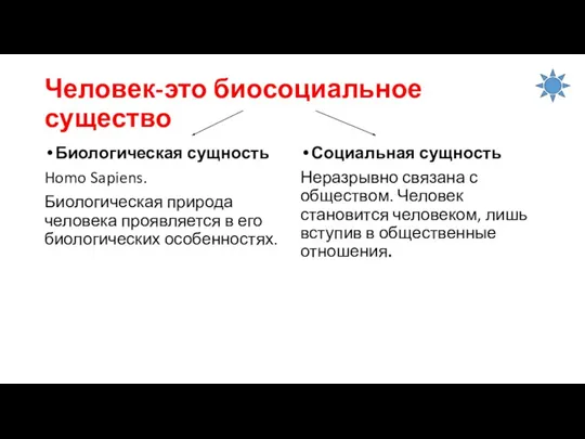 Человек-это биосоциальное существо Биологическая сущность Homo Sapiens. Биологическая природа человека проявляется в