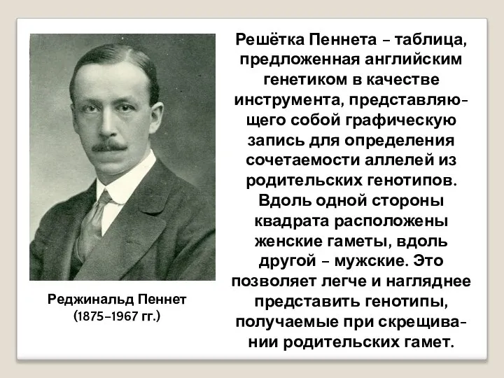 Реджинальд Пеннет (1875–1967 гг.) Решётка Пеннета – таблица, предложенная английским генетиком в