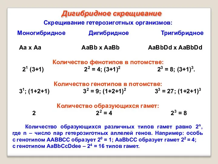 Скрещивание гетерозиготных организмов: Моногибридное Дигибридное Тригибридное Аа х Аа АаBb x AaBb