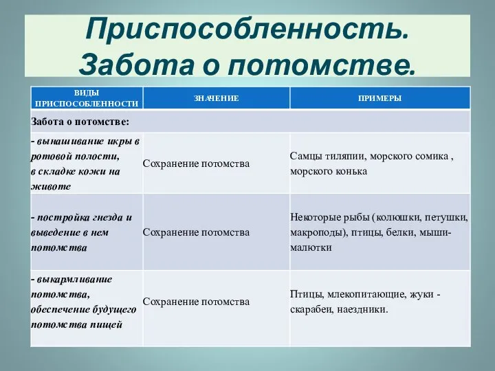 Приспособленность. Забота о потомстве.