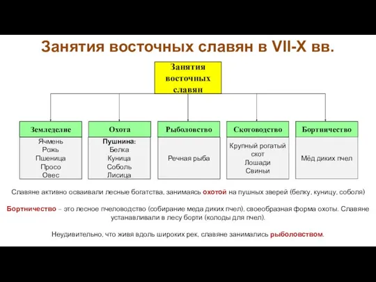 Славяне активно осваивали лесные богатства, занимаясь охотой на пушных зверей (белку, куницу,