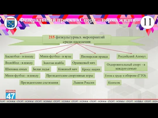 Федеральный проект «Спорт – норма жизни» Баскетбол - в школу Волейбол -