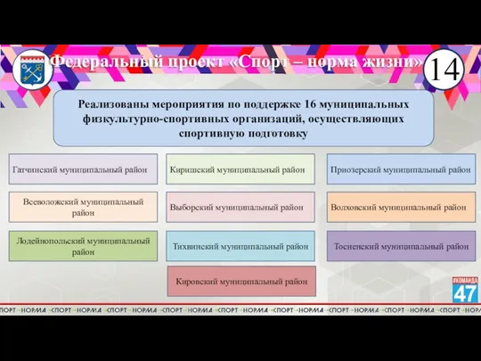 Федеральный проект «Спорт – норма жизни» 14 Реализованы мероприятия по поддержке 16